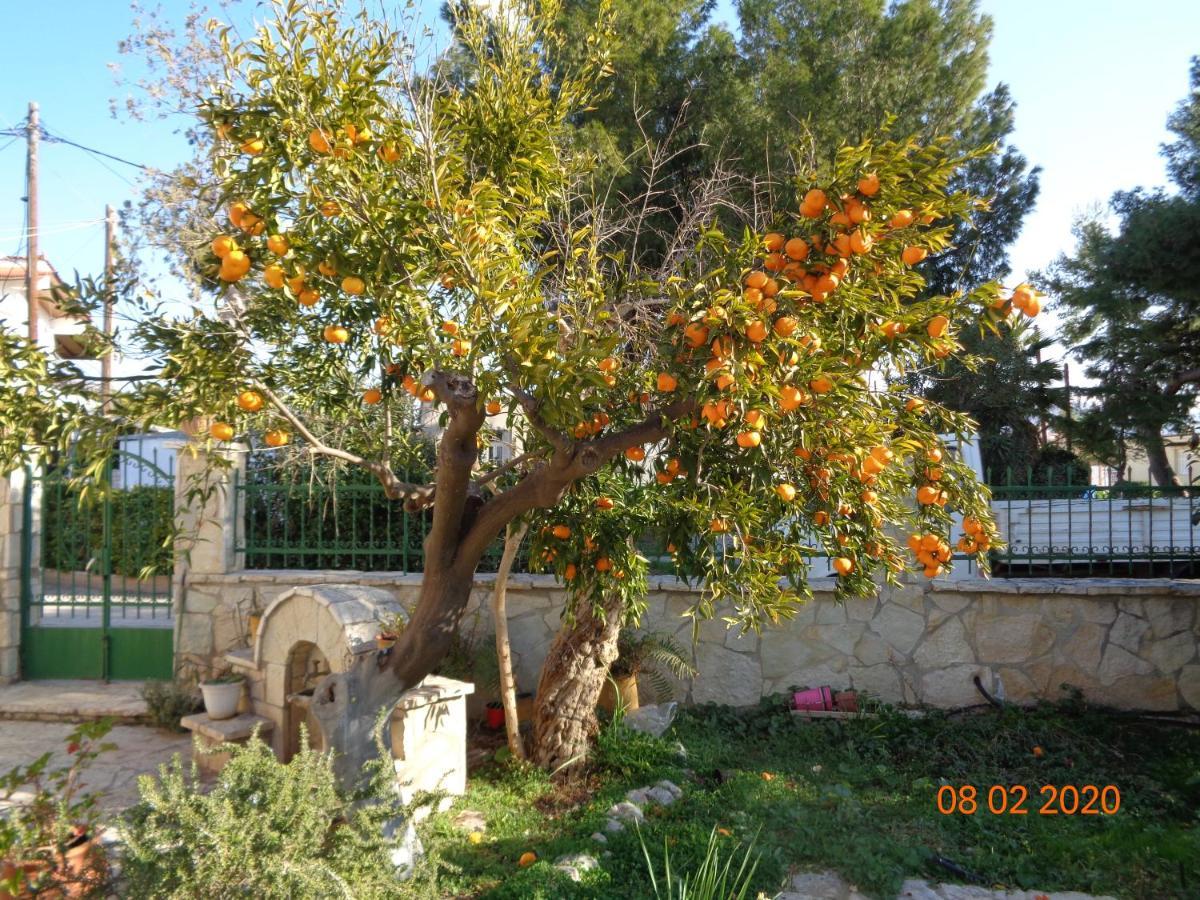 Traditional Guesthouse Asimakis Anifion Exteriér fotografie